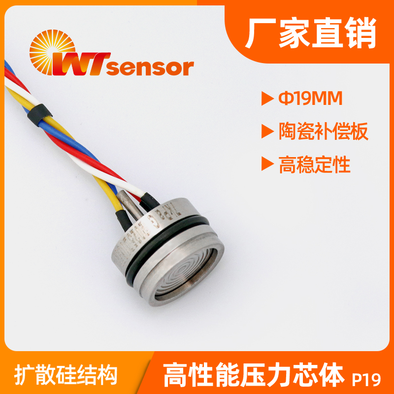 P19高稳压阻式压力芯体 (Φ19×14mm) P19高稳压阻式压力芯体 (Φ19×14mm)